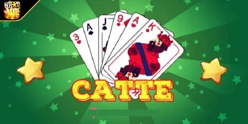 tong quan ve catte Tổng quan về Catte