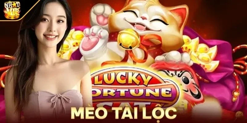 tong quan ve no hu meo tai loc Tổng quan về nổ hũ mèo tài lộc